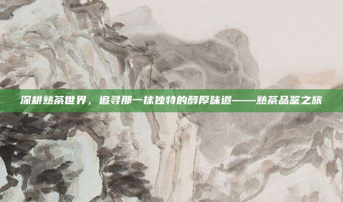 深耕熟茶世界，追寻那一抹独特的醇厚味道——熟茶品鉴之旅