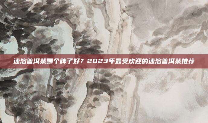 速溶普洱茶哪个牌子好？2023年最受欢迎的速溶普洱茶推荐