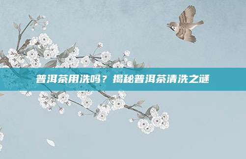 普洱茶用洗吗?揭秘普洱茶清洗之谜