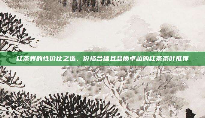 红茶界的性价比之选,价格合理且品质卓越的红茶茶叶推荐