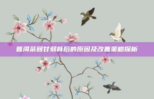 普洱茶回甘弱背后的原因及改善策略探析