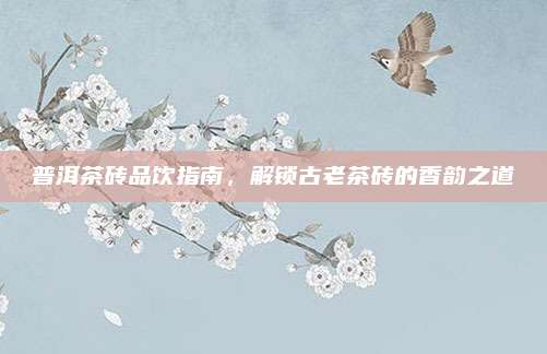 普洱茶砖品饮指南，解锁古老茶砖的香韵之道