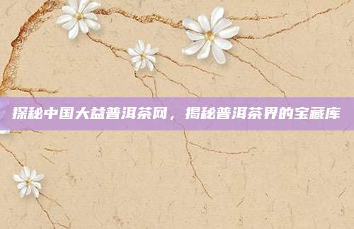 探秘中国大益普洱茶网，揭秘普洱茶界的宝藏库