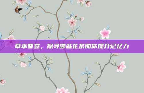 草本智慧，探寻哪些花茶助你提升记忆力