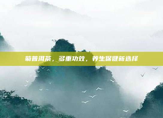 菊普洱茶，多重功效，养生保健新选择