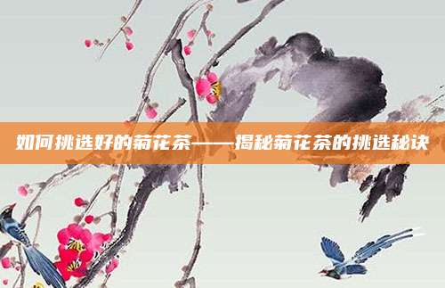 如何挑选好的菊花茶——揭秘菊花茶的挑选秘诀