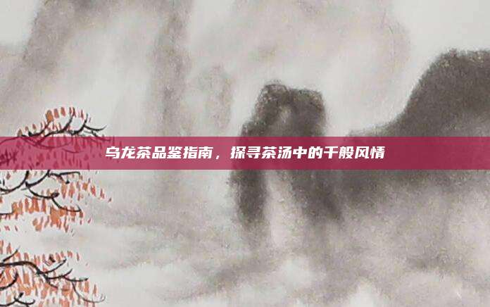 乌龙茶品鉴指南,探寻茶汤中的千般风情