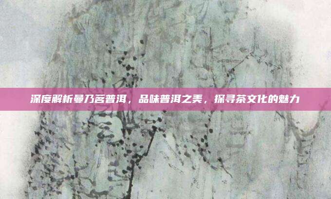 深度解析曼乃茗普洱,品味普洱之美,探寻茶文化的魅力