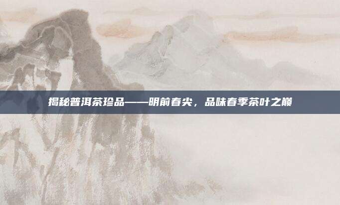 揭秘普洱茶珍品——明前春尖，品味春季茶叶之巅