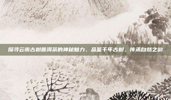 探寻云南古树普洱茶的神秘魅力，品鉴千年古树，传承自然之韵