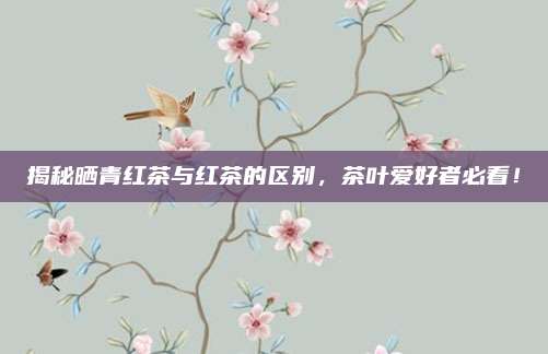 揭秘晒青红茶与红茶的区别，茶叶爱好者必看！