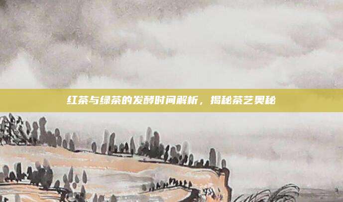 红茶与绿茶的发酵时间解析，揭秘茶艺奥秘