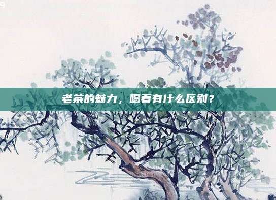 老茶的魅力,喝着有什么区别?