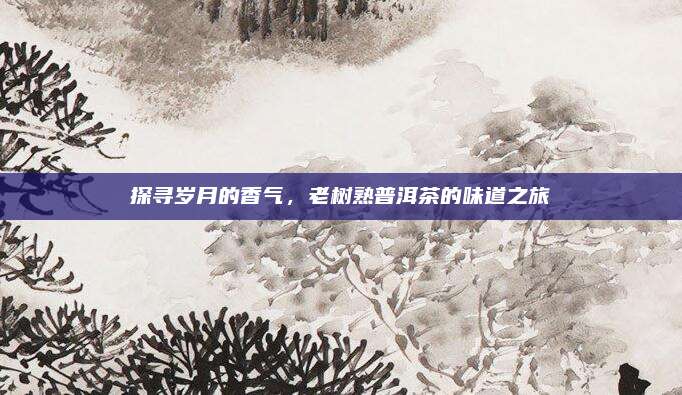 探寻岁月的香气，老树熟普洱茶的味道之旅