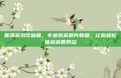 普洱茶泡饮秘籍，专业泡茶图片教程，让你轻松体验茶香四溢