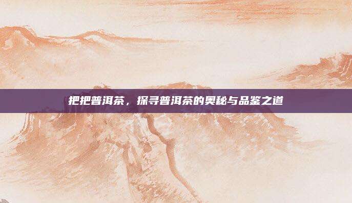 把把普洱茶，探寻普洱茶的奥秘与品鉴之道