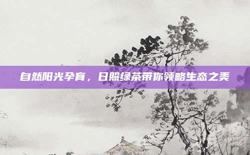 自然阳光孕育，日照绿茶带你领略生态之美