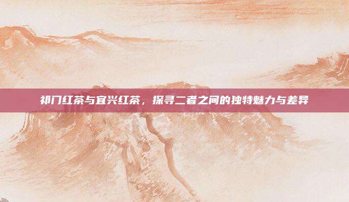 祁门红茶与宜兴红茶，探寻二者之间的独特魅力与差异