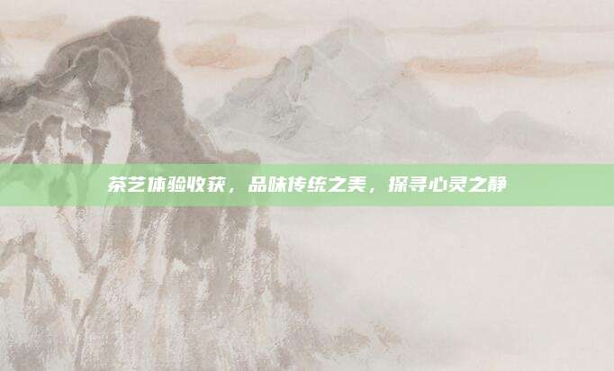 茶艺体验收获，品味传统之美，探寻心灵之静