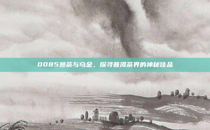 0085熟茶与乌金，探寻普洱茶界的神秘佳品