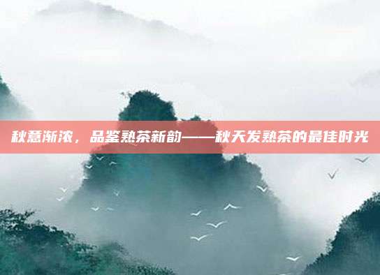 秋意渐浓，品鉴熟茶新韵——秋天发熟茶的最佳时光