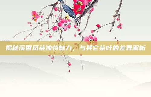 揭秘溪香凤茶独特魅力，与其它茶叶的差异解析