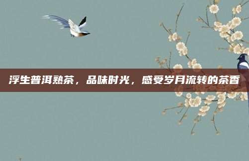 浮生普洱熟茶,品味时光,感受岁月流转的茶香