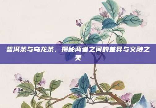 普洱茶与乌龙茶,揭秘两者之间的差异与交融之美