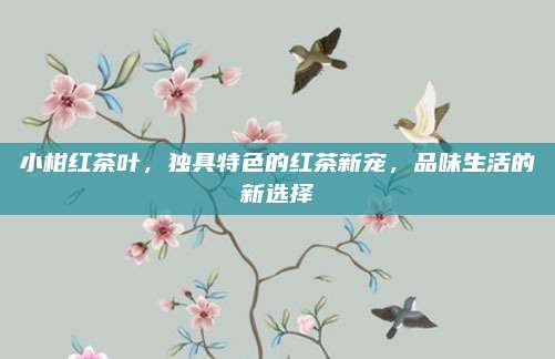 小柑红茶叶,独具特色的红茶新宠,品味生活的新选择