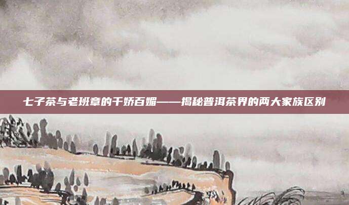 七子茶与老班章的千娇百媚——揭秘普洱茶界的两大家族区别