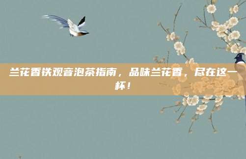 兰花香铁观音泡茶指南，品味兰花香，尽在这一杯！