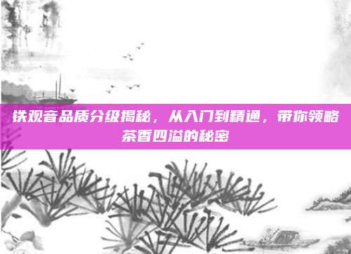 铁观音品质分级揭秘，从入门到精通，带你领略茶香四溢的秘密
