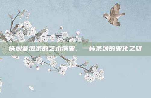 铁观音泡茶的艺术演变，一杯茶汤的变化之旅