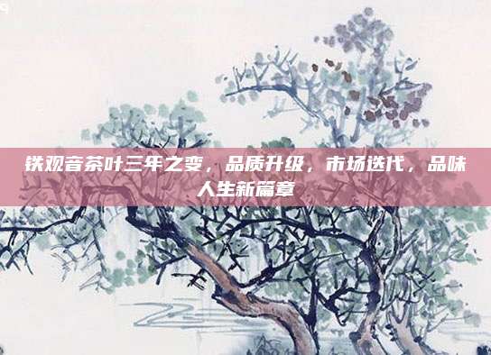铁观音茶叶三年之变，品质升级，市场迭代，品味人生新篇章
