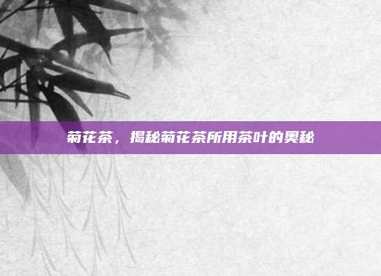 菊花茶,揭秘菊花茶所用茶叶的奥秘