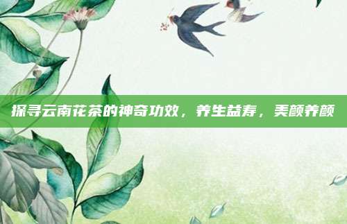 探寻云南花茶的神奇功效,养生益寿,美颜养颜
