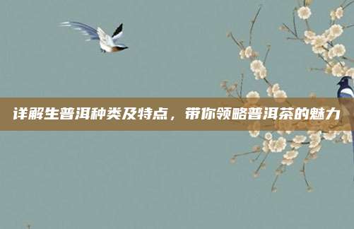 详解生普洱种类及特点,带你领略普洱茶的魅力