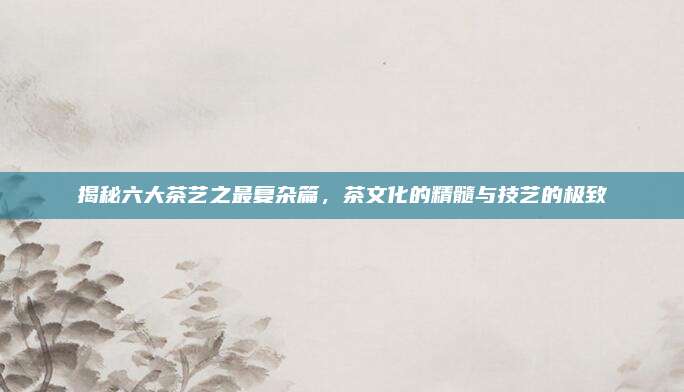 揭秘六大茶艺之最复杂篇,茶文化的精髓与技艺的极致