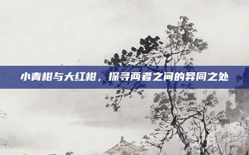 小青柑与大红柑,探寻两者之间的异同之处