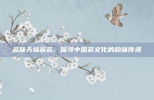 品味天福茗茶，探寻中国茶文化的韵味传承