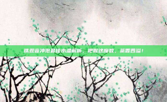 铁观音冲泡最佳水温解析,把握这度数,茶香四溢!