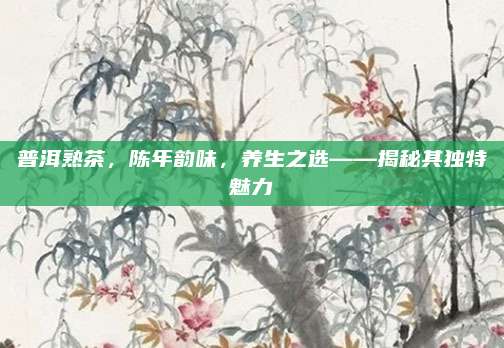 普洱熟茶，陈年韵味，养生之选——揭秘其独特魅力