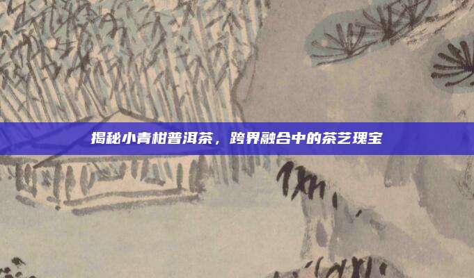 揭秘小青柑普洱茶,跨界融合中的茶艺瑰宝
