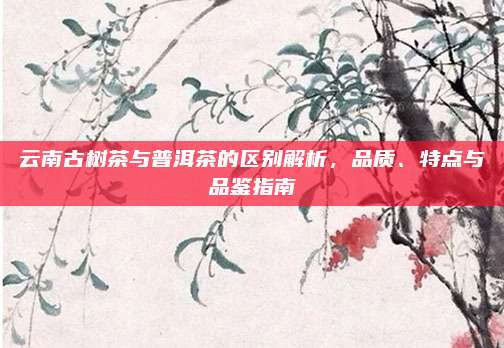云南古树茶与普洱茶的区别解析,品质、特点与品鉴指南