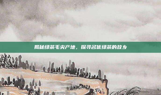 揭秘绿茶毛尖产地，探寻名优绿茶的故乡