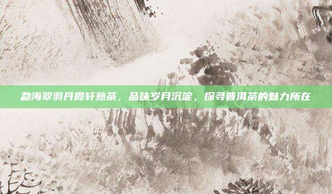 勐海翠羽丹霞轩熟茶，品味岁月沉淀，探寻普洱茶的魅力所在