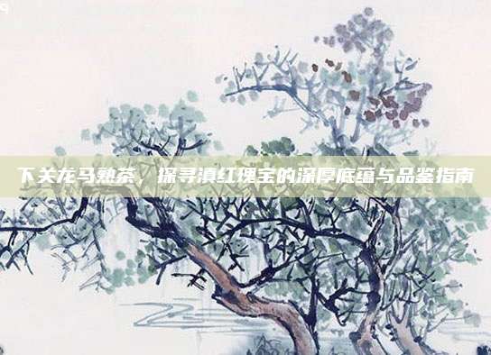 下关龙马熟茶，探寻滇红瑰宝的深厚底蕴与品鉴指南