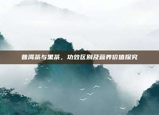 普洱茶与黑茶，功效区别及营养价值探究
