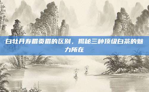 白牡丹寿眉贡眉的区别，揭秘三种顶级白茶的魅力所在