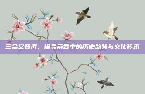 三合堂普洱,探寻茶香中的历史韵味与文化传承